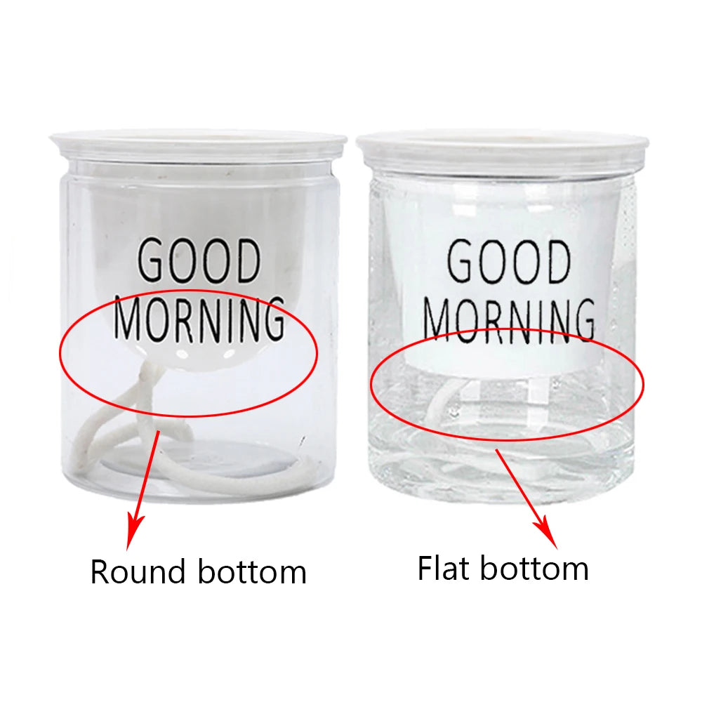 Self-watering Hydroponic Plant Pot/ Vase for automatic watering of plants, flowers & succulents