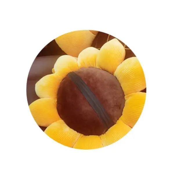 47663814181198|47663814213966|47663814246734