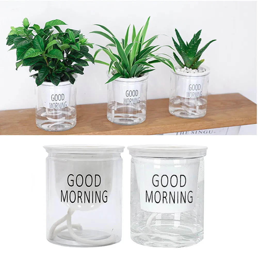 Self-watering Hydroponic Plant Pot/ Vase for automatic watering of plants, flowers & succulents