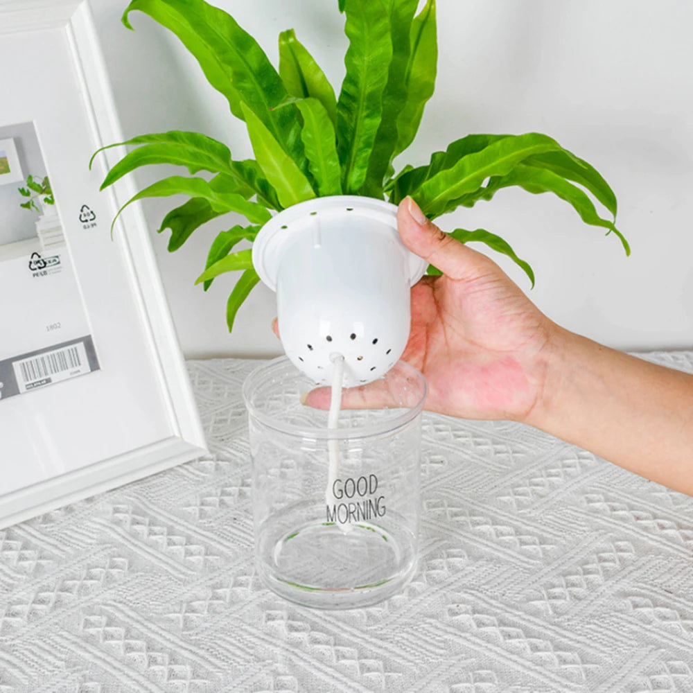 Self-watering Hydroponic Plant Pot/ Vase for automatic watering of plants, flowers & succulents