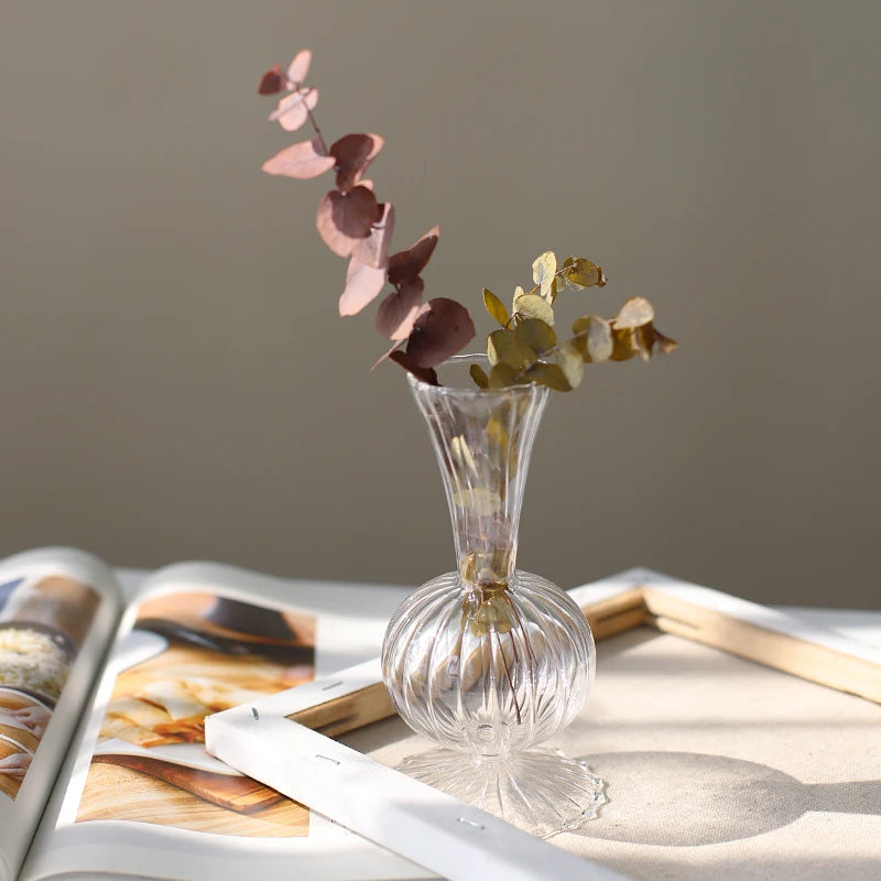 Minimalistic Nordic Glass Hydroponics Vase