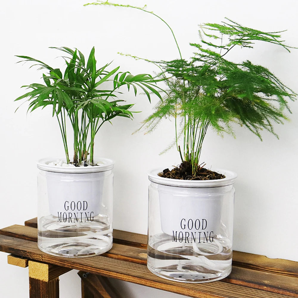 self watering indoor plant pots uk Self-watering Hydroponic Plant Pot/ Vase for automatic watering of plants, flowers & succulents