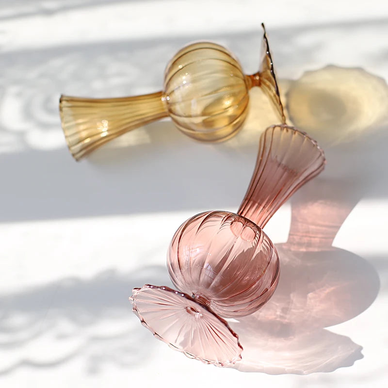 Minimalistic Nordic Glass Hydroponics Vase