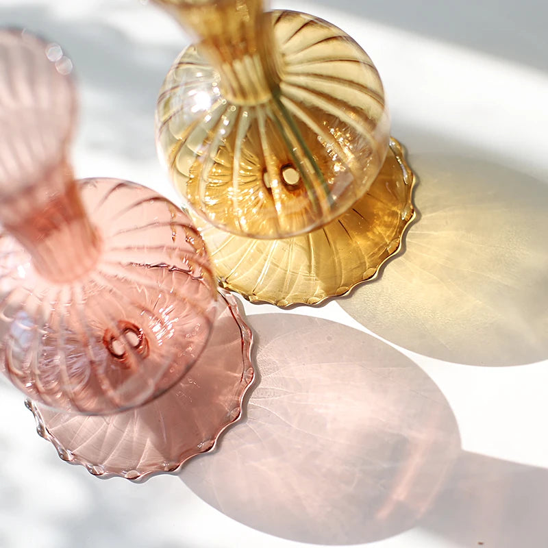 Minimalistic Nordic Glass Hydroponics Vase