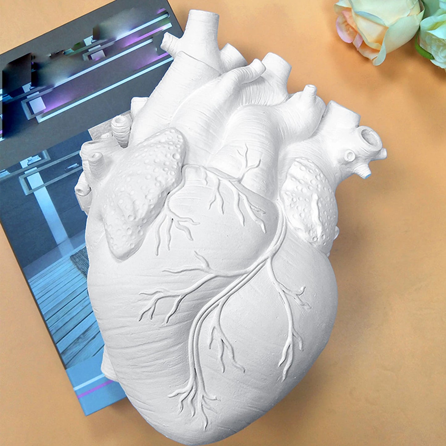 Heart Vase - Anatomy Art Vase - Red, White or Gold
