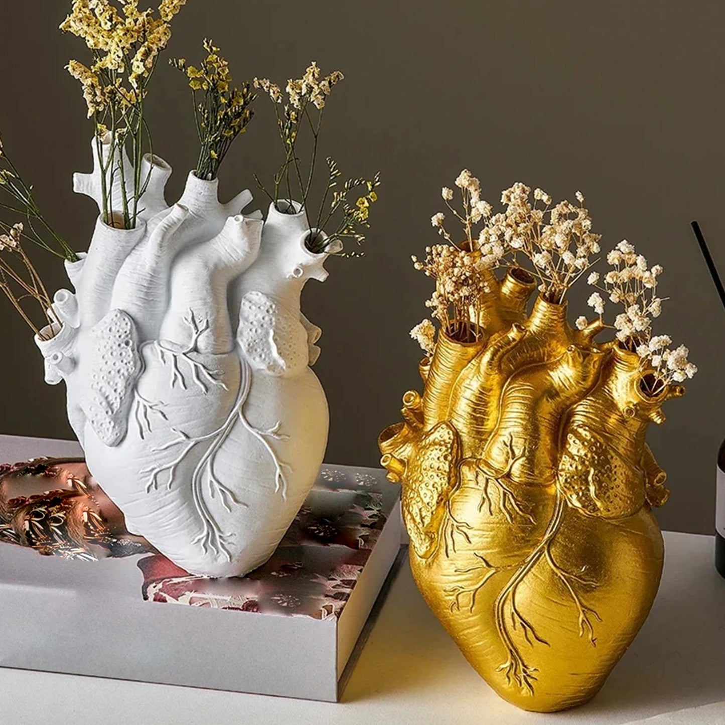 Heart Vase - Anatomy Art Vase - Red, White or Gold