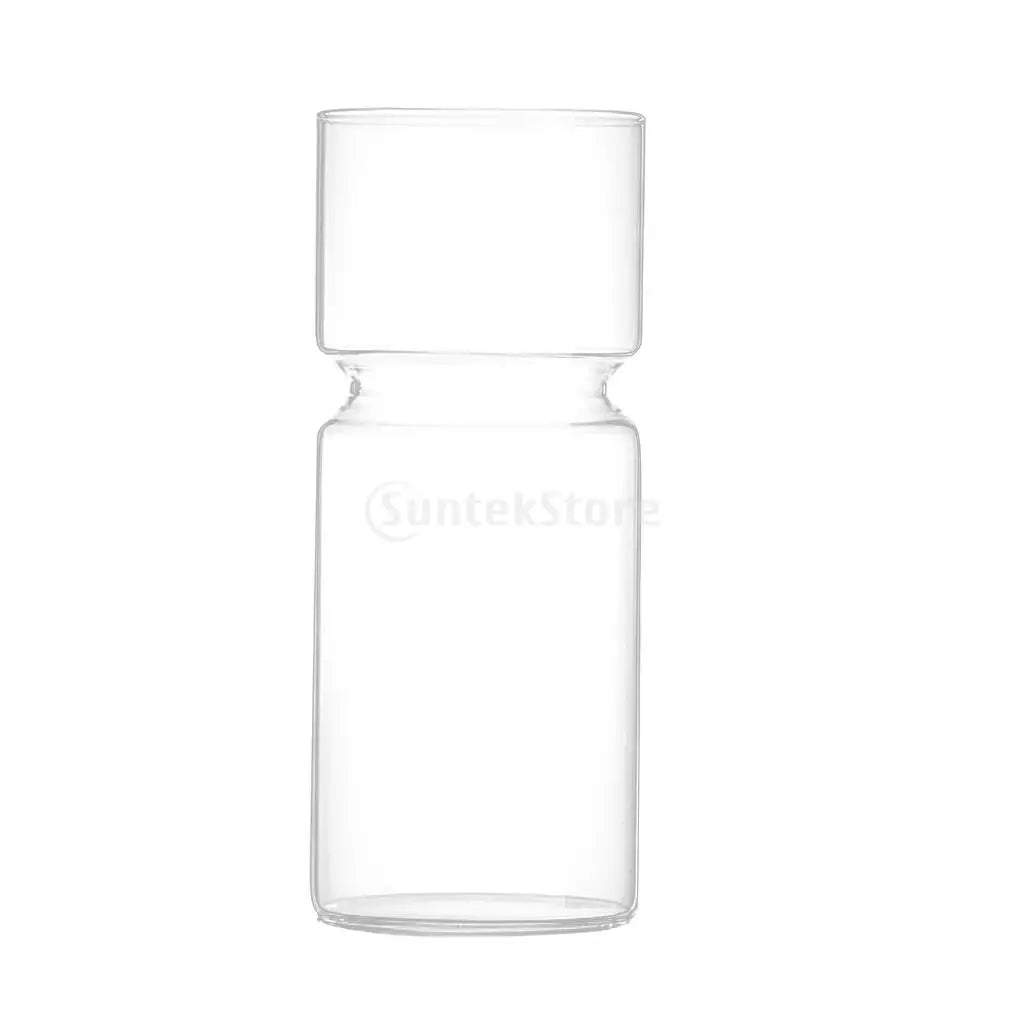 Avocado Seed Starter/ Hyacinth, Glass Hydroponic Vase - Suitable for Flowers, Seeds & Plants - Little Leaf Company