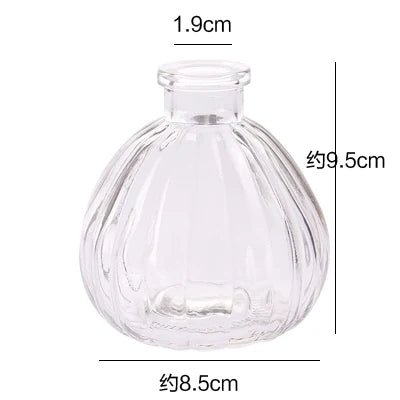 Classic Minimalistic Glass Hydroponic Vase - Little Leaf Company