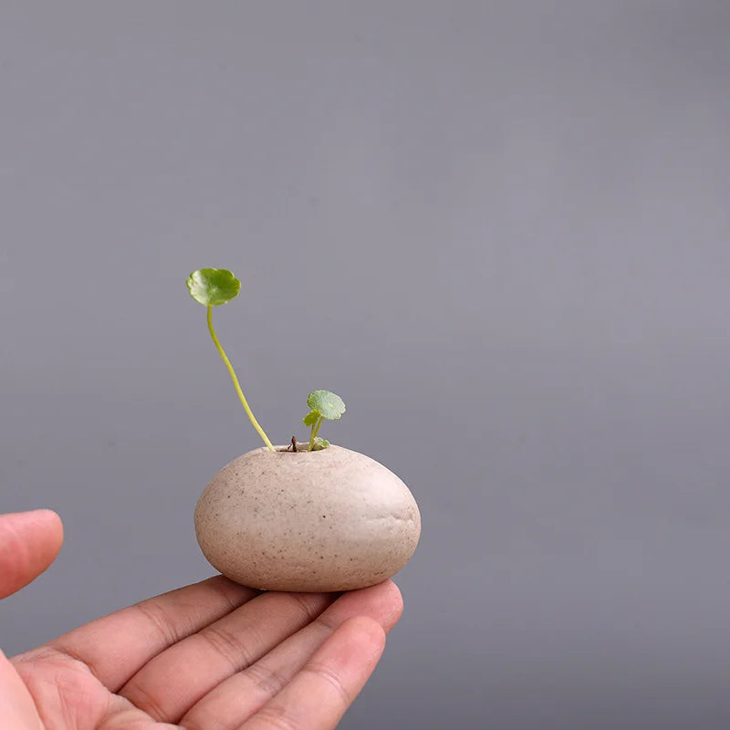 Mini Stone Vases for Zen Flower Displays