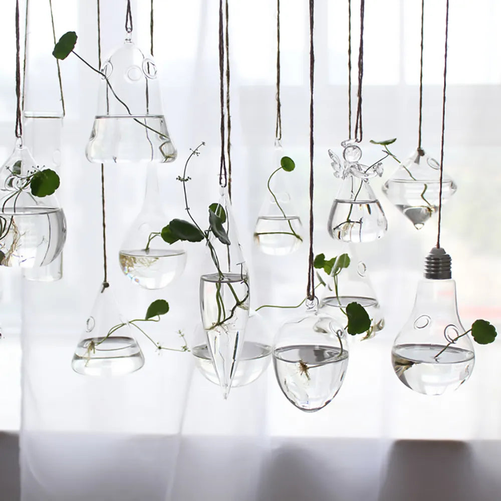 Glass Hanging Vases for Flowers, Plants (or Fish!)