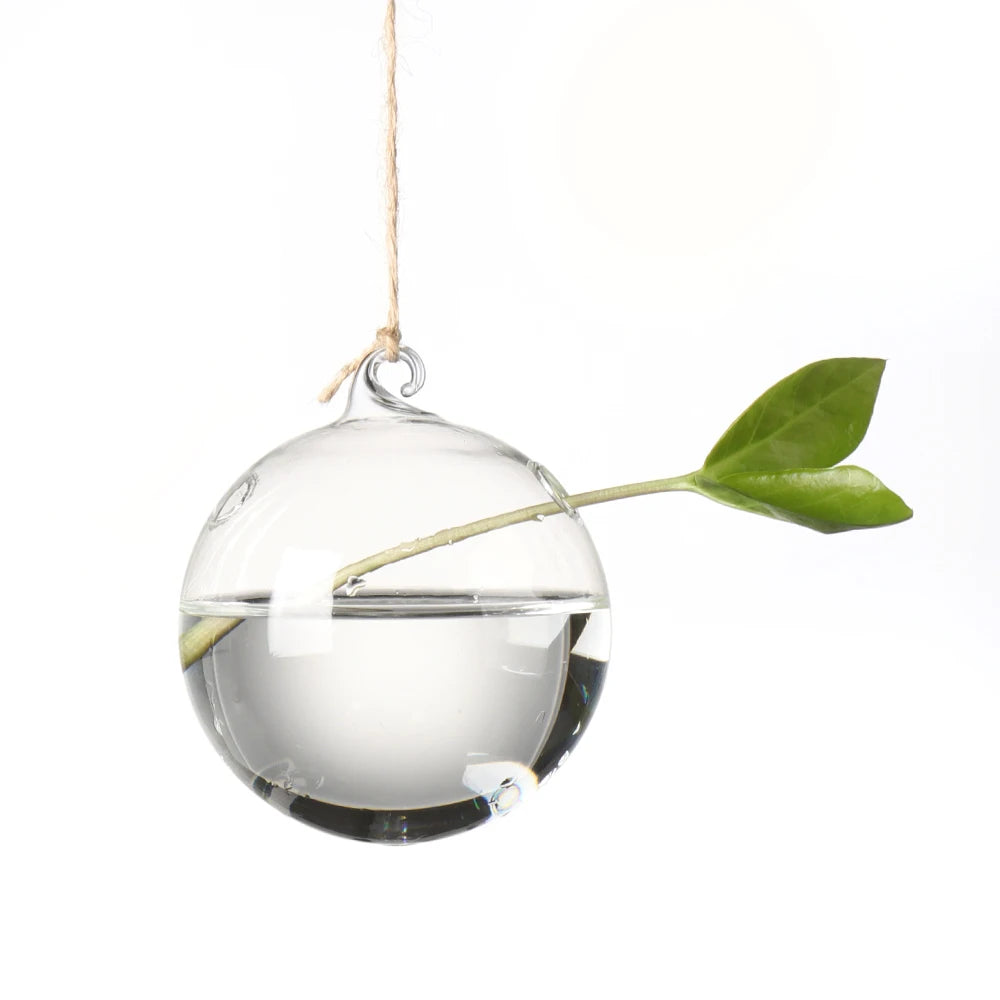 Hanging Glass Vases - for Flowers, Hydroponic Plants or Terrarium Container