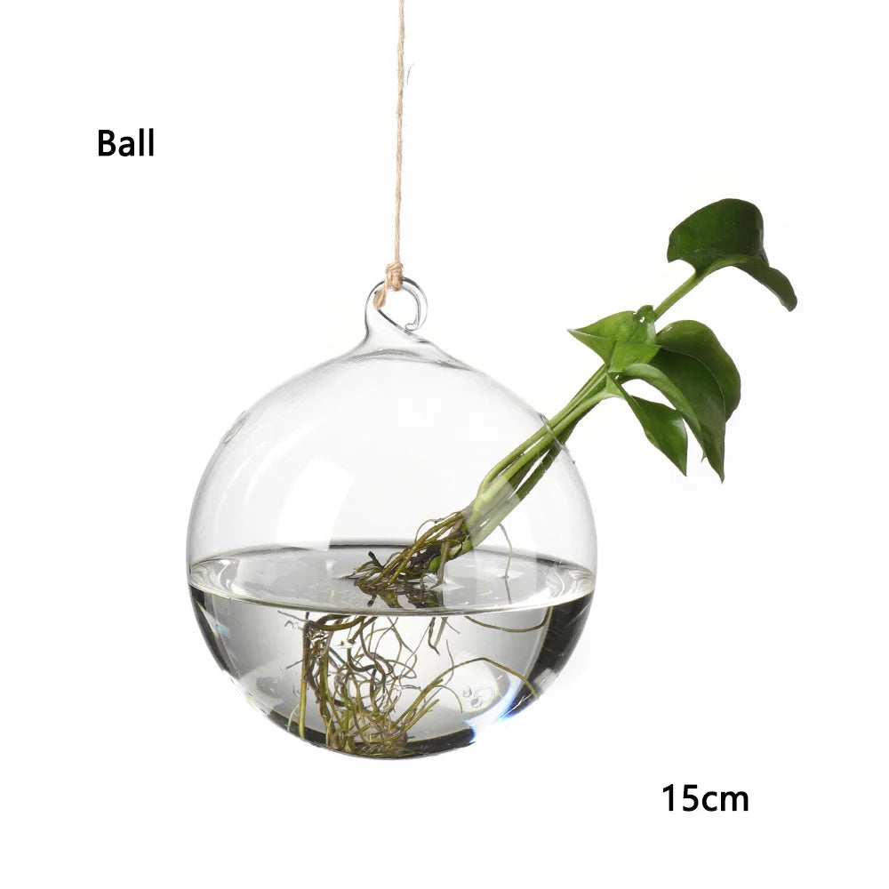 Hanging Glass Vases - for Flowers, Hydroponic Plants or Terrarium Container