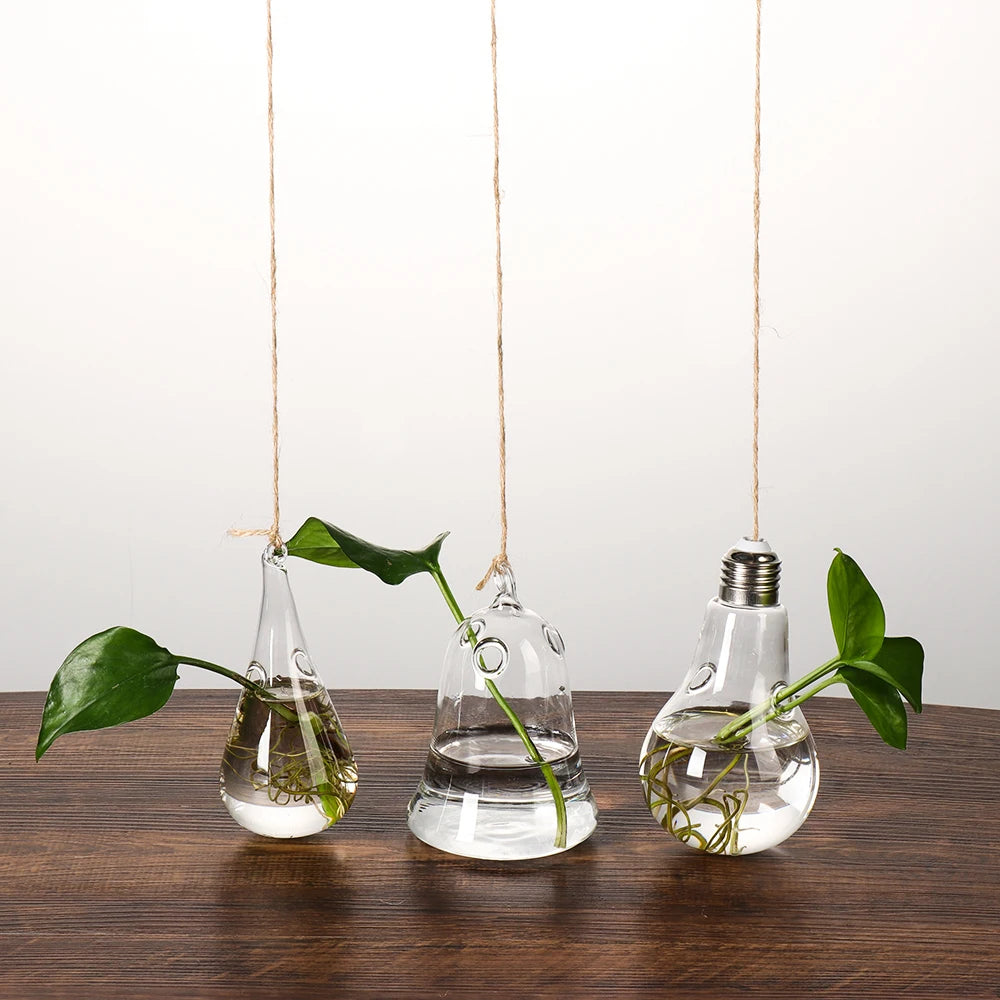 Hanging Glass Vases - for Flowers, Hydroponic Plants or Terrarium Container