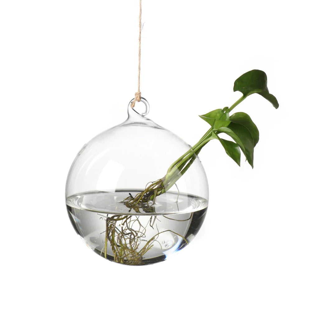 Hanging Glass Vases - for Flowers, Hydroponic Plants or Terrarium Container