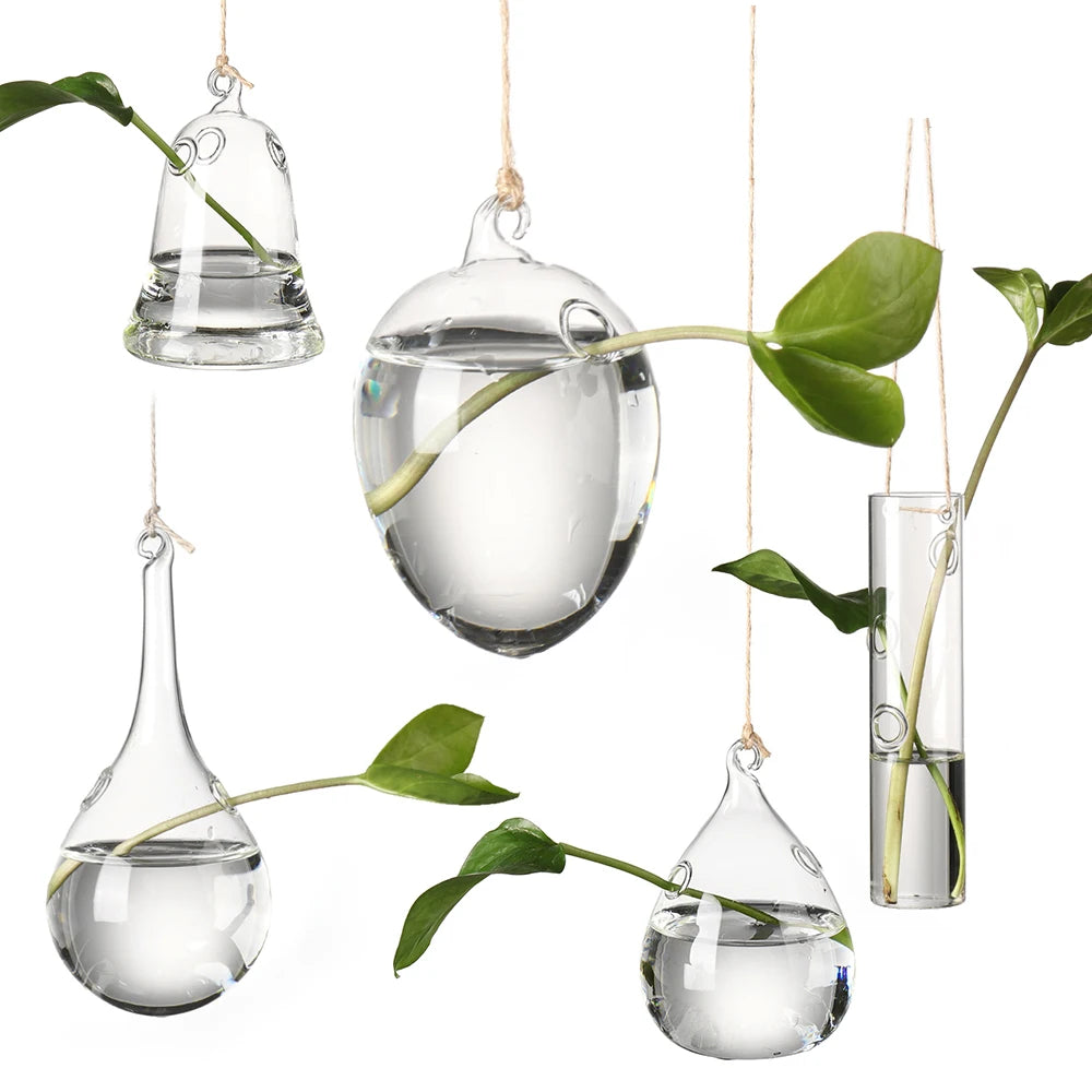 Hanging Glass Vases - for Flowers, Hydroponic Plants or Terrarium Container