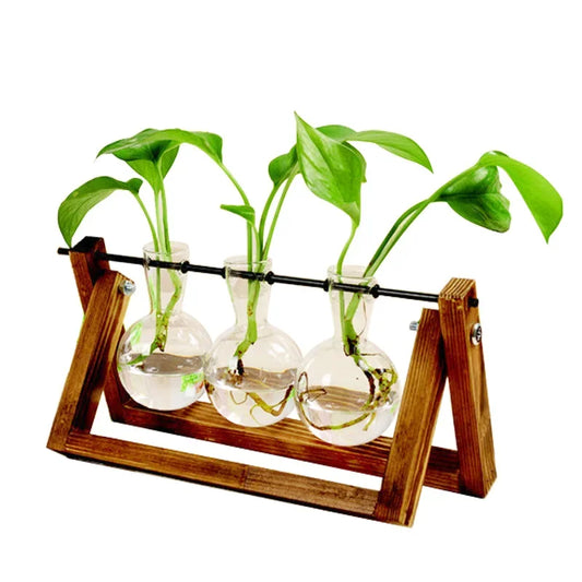 Terrarium Creative Hydroponic Plant Transparent Vase with Wooden Frame