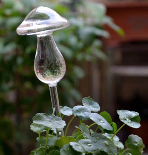 Automatic Glass Self Watering for Plants - 4 designs; Mushroom, Bird, Heart & Star - Little Leaf Company