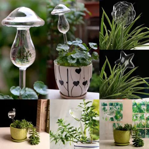 Automatic Glass Self Watering for Plants - 4 designs; Mushroom, Bird, Heart & Star - Little Leaf Company