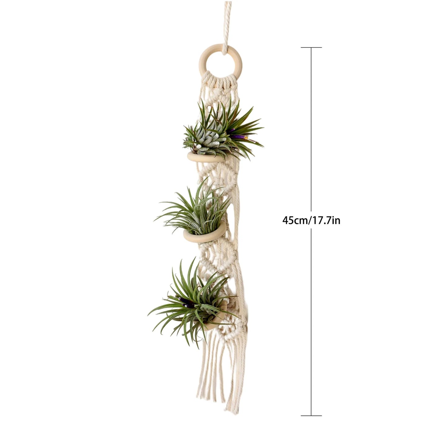 Boho Macrame Air Plant Hanger - Holds 3 Plants - Little Leaf Company