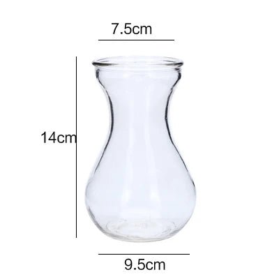 Classic Minimalistic Glass Hydroponic Vase - Little Leaf Company