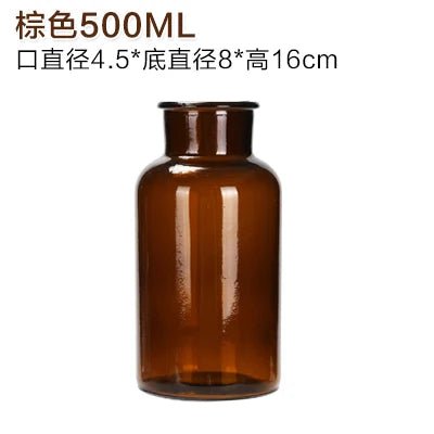 Elegant Glass Medicine Bottle Vases for Fresh & Dried Flower Decorations - Little Leaf Company