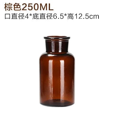 Elegant Glass Medicine Bottle Vases for Fresh & Dried Flower Decorations - Little Leaf Company