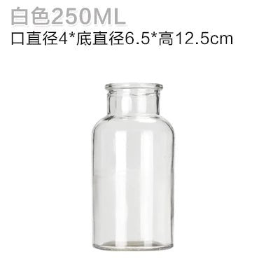 Elegant Glass Medicine Bottle Vases for Fresh & Dried Flower Decorations - Little Leaf Company