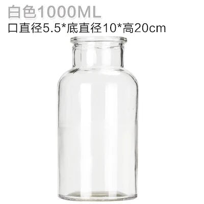 Elegant Glass Medicine Bottle Vases for Fresh & Dried Flower Decorations - Little Leaf Company