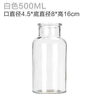 Elegant Glass Medicine Bottle Vases for Fresh & Dried Flower Decorations - Little Leaf Company