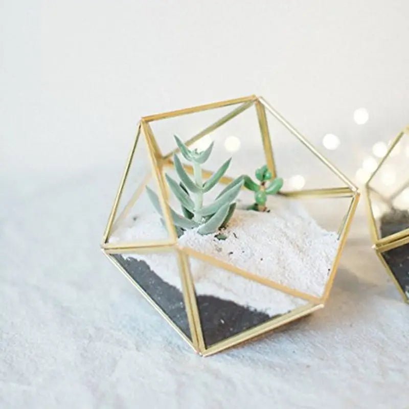 Geometric Glass Terrarium for Succulents & Cacti or Jewellery Box - Black or Gold - Little Leaf Company