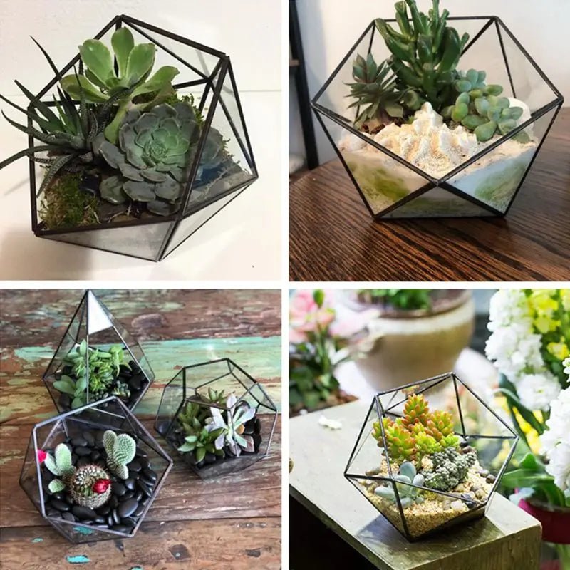 Geometric Glass Terrarium for Succulents & Cacti or Jewellery Box - Black or Gold - Little Leaf Company