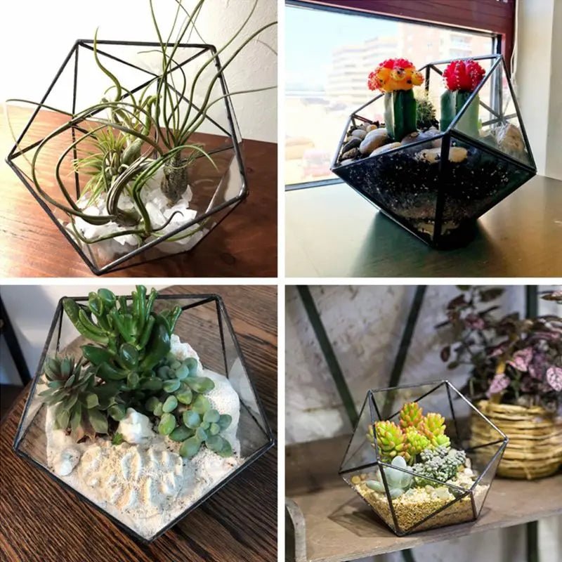 Geometric Glass Terrarium for Succulents & Cacti or Jewellery Box - Black or Gold - Little Leaf Company