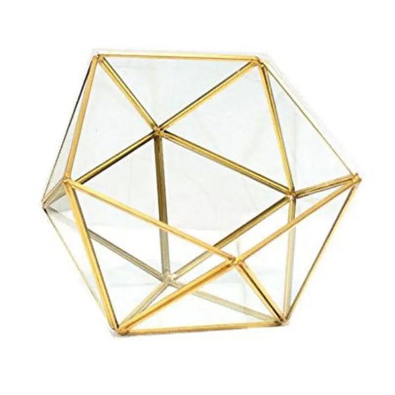 Geometric Glass Terrarium for Succulents & Cacti or Jewellery Box - Black or Gold - Little Leaf Company