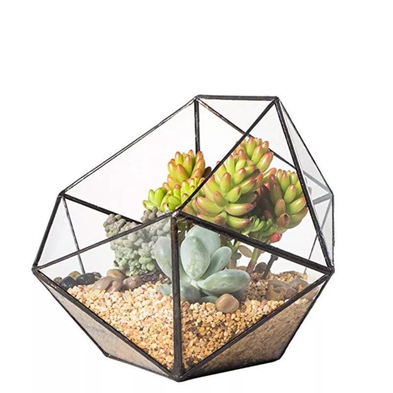 Geometric Glass Terrarium for Succulents & Cacti or Jewellery Box - Black or Gold - Little Leaf Company