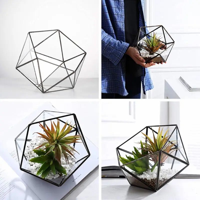 Geometric Glass Terrarium for Succulents & Cacti or Jewellery Box - Black or Gold - Little Leaf Company